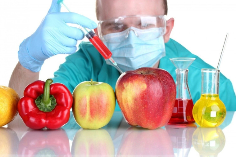 Международный день действий против генетически модифицированных продуктов и организмов. ГМО – опасны ли для организма?. Международный день действий против генетически модифицированных продуктов и организмов. ГМО – опасны ли для организма?.