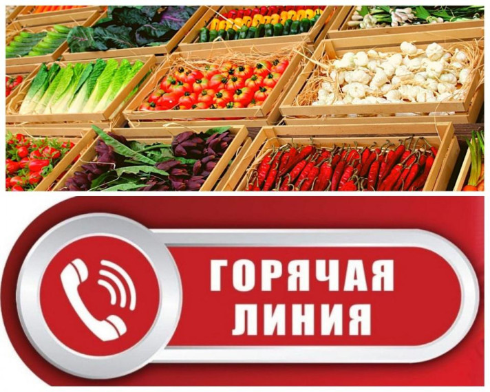 Горячая линия. Горячая линия.